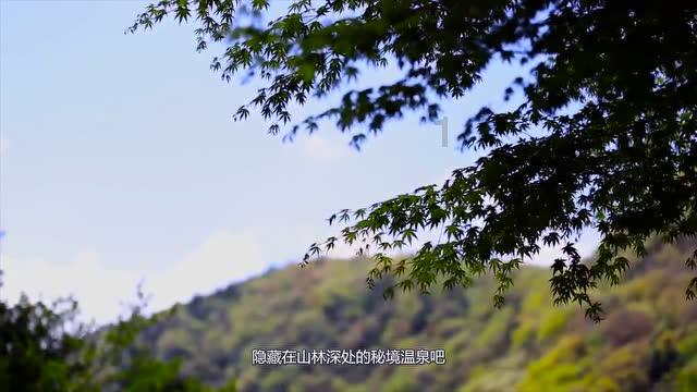 冷知识分享平台恐婚恐育还可以渴望爱情吗?,揭秘神奇的冷知识!